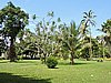 DSCN3118.JPG
