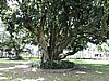 DSCN3119.JPG