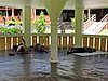 DSCN3124.JPG