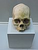 DSCN3129.JPG