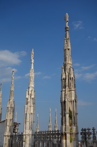 DSC08682.JPG