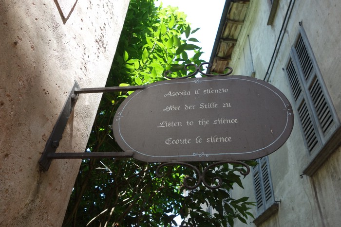 DSC08740.JPG