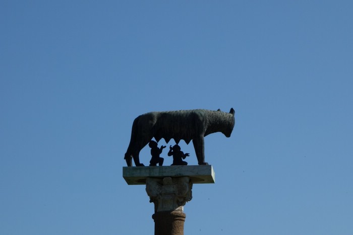 DSC08848.JPG