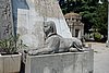 DSC08570.JPG