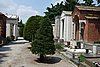 DSC08571.JPG