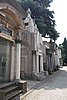DSC08575.JPG