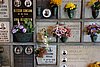 DSC08590.JPG