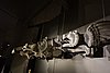 DSC08635.JPG