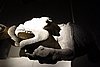 DSC08637.JPG