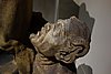 DSC08643.JPG