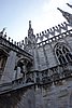 DSC08668.JPG