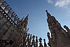 DSC08677.JPG