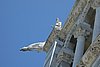 DSC08776.JPG
