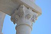 DSC08830.JPG