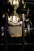 DSC08868.JPG