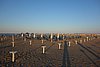 DSC08931.JPG