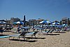 DSC08946.JPG