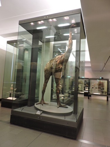 DSCN3671.JPG