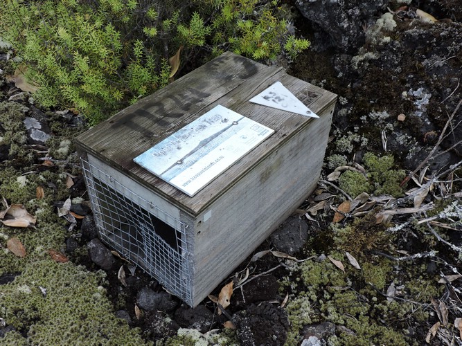 DSCN3696.JPG