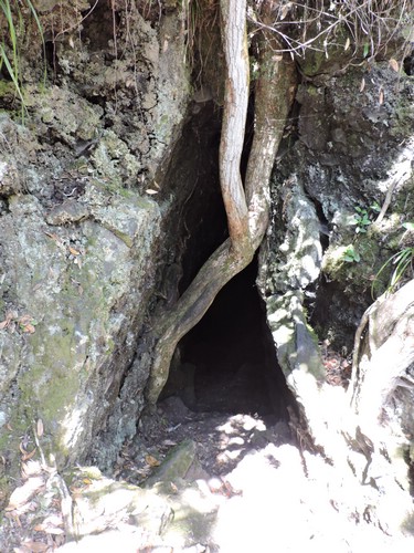 DSCN3719.JPG