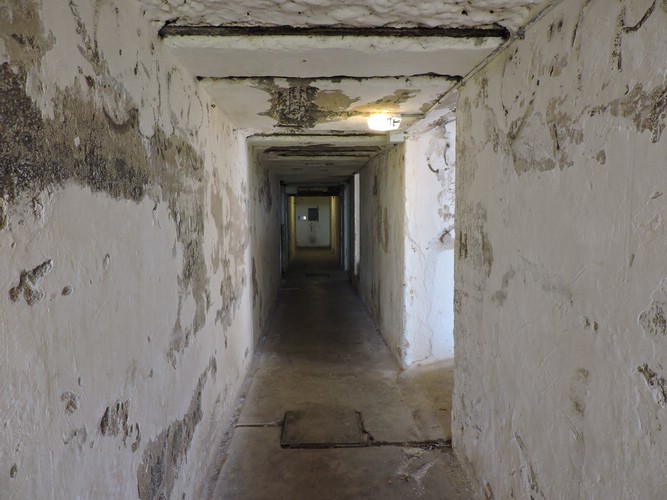 DSCN3737.JPG