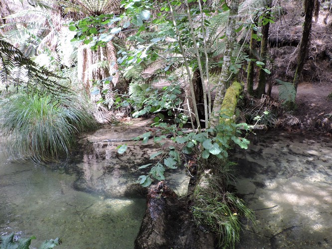 DSCN3778.JPG