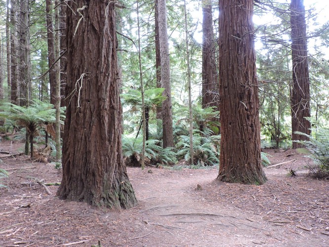 DSCN3785.JPG