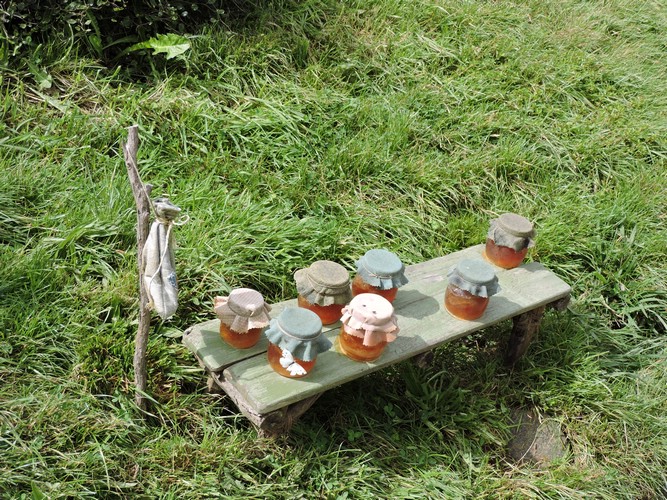 DSCN3836.JPG