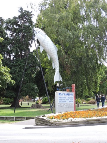 DSCN3874.JPG