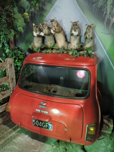 DSCN3881.JPG