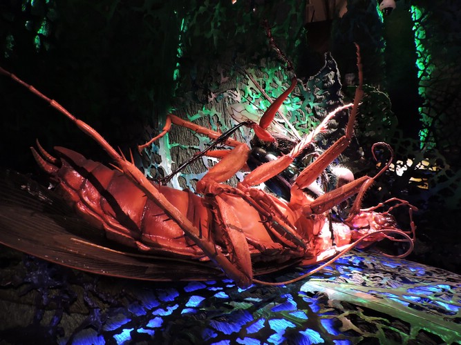 DSCN3920.JPG