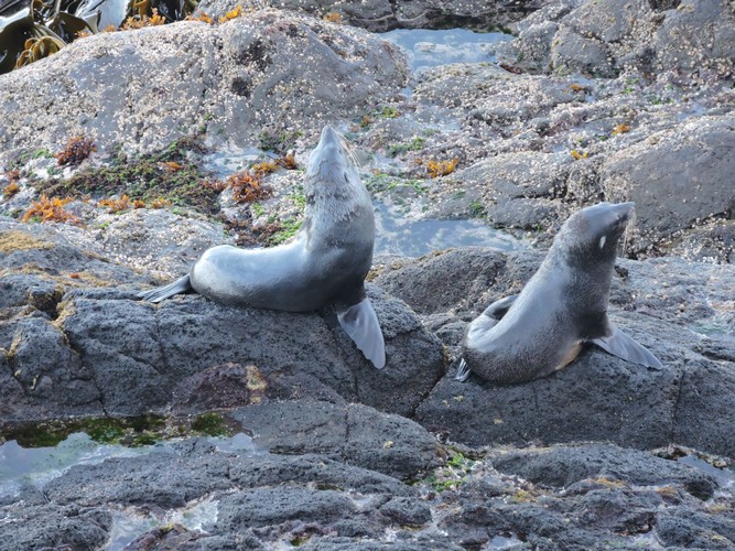 DSCN4098.JPG