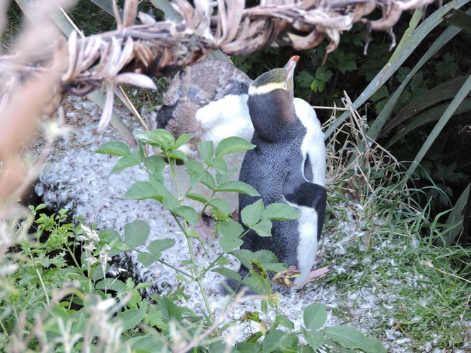 DSCN4121.JPG
