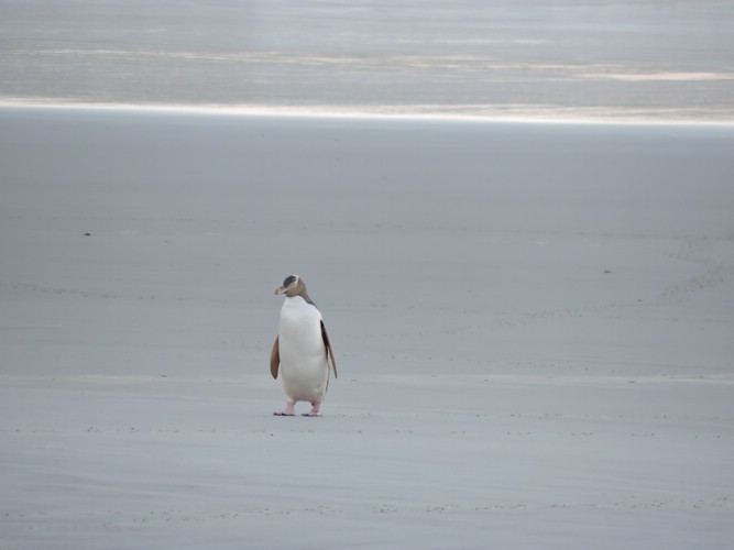 DSCN4177.JPG
