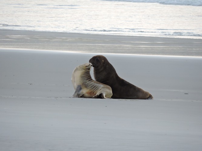 DSCN4182.JPG