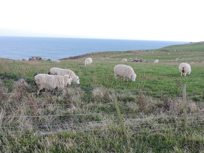 DSCN4190.JPG