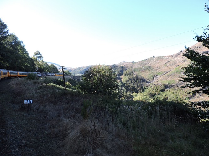 DSCN4217.JPG
