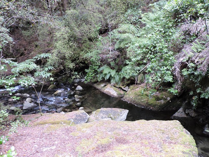 DSCN4275.JPG