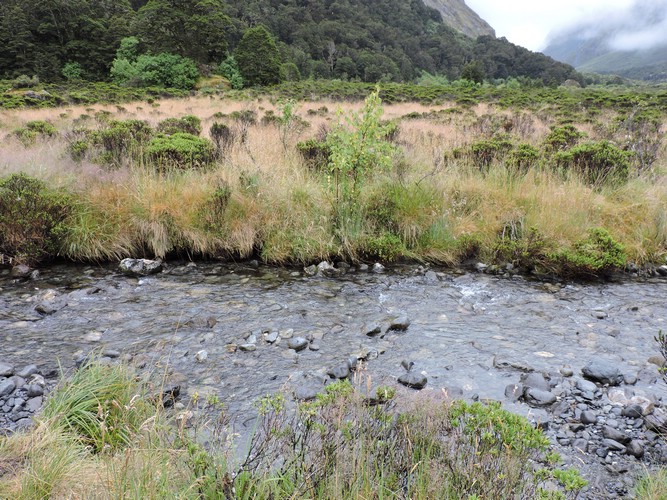 DSCN4305.JPG
