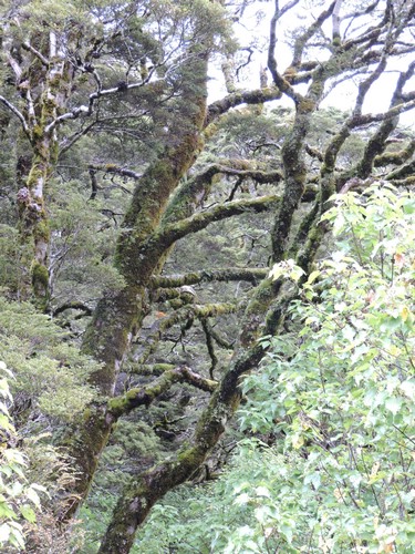 DSCN4311.JPG