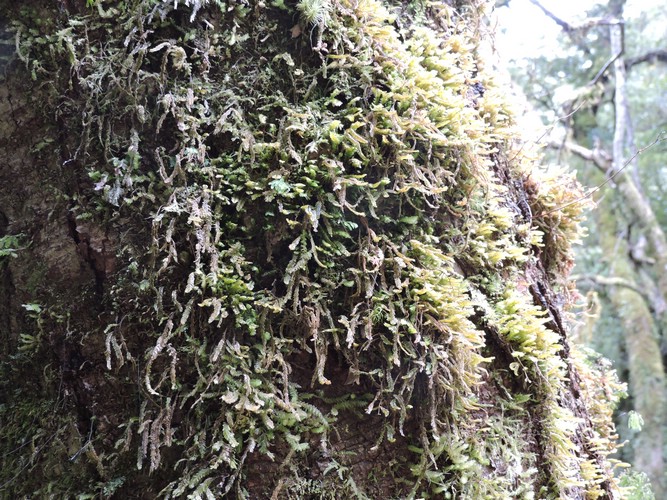 DSCN4322.JPG