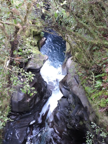 DSCN4324.JPG