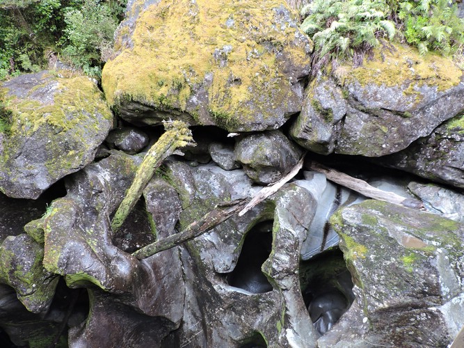 DSCN4328.JPG