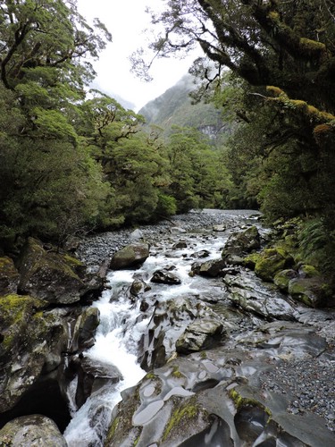 DSCN4330.JPG