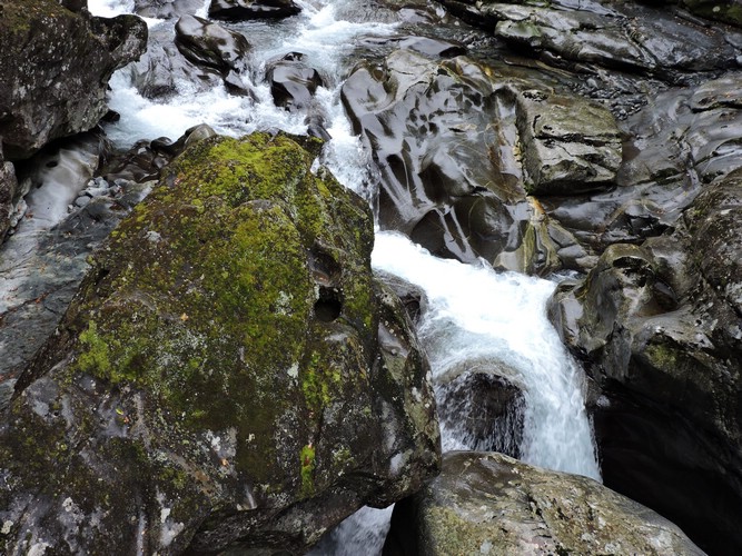 DSCN4335.JPG