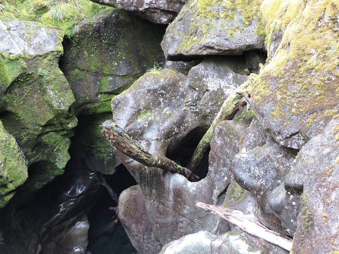 DSCN4338.JPG