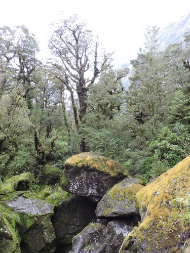 DSCN4339.JPG