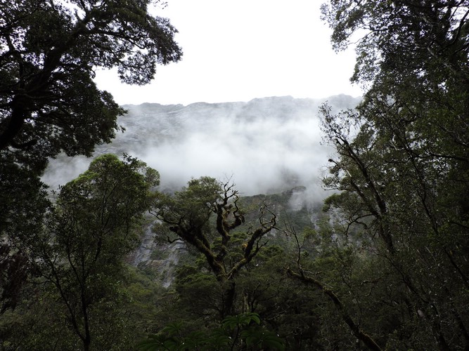 DSCN4341.JPG