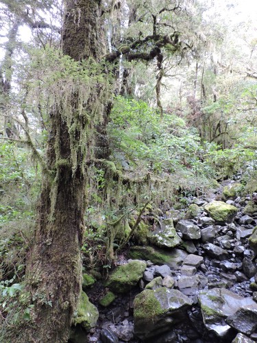 DSCN4342.JPG