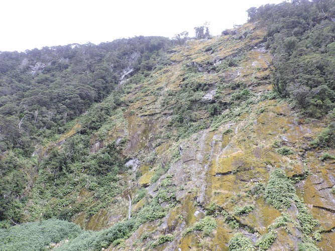 DSCN4350.JPG